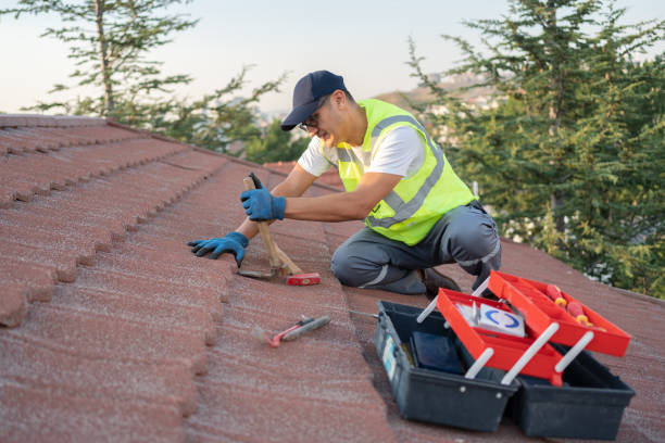 Best Metal Roofing Contractor  in Needville, TX